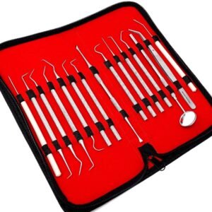 Micro Precision Probe Set including Tweezer and Mirror