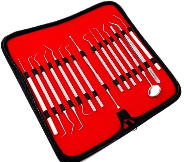 Micro Precision Probe Set including Tweezer and Mirror